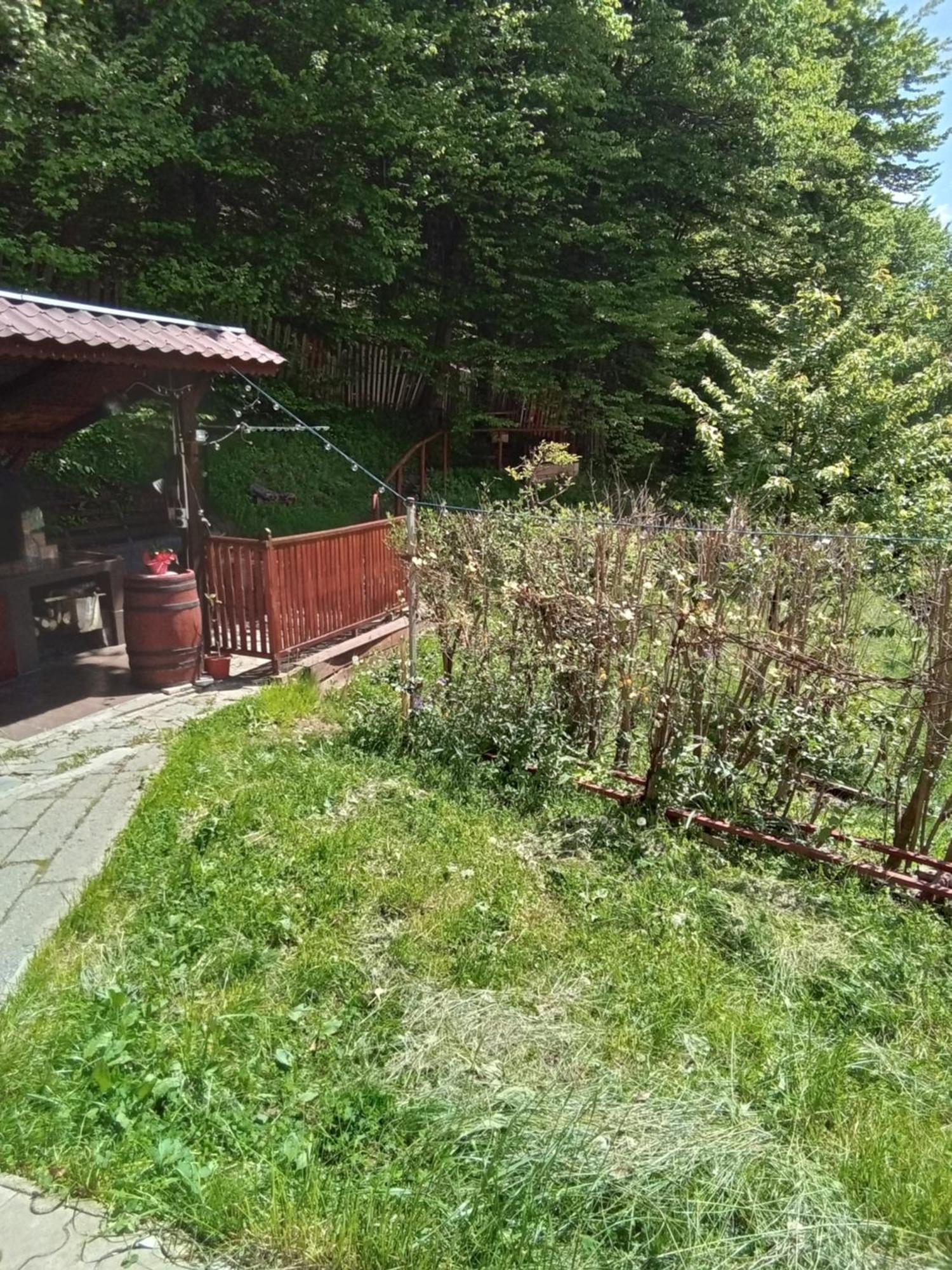 Casa Ozon Hotel Vulcan  Eksteriør billede