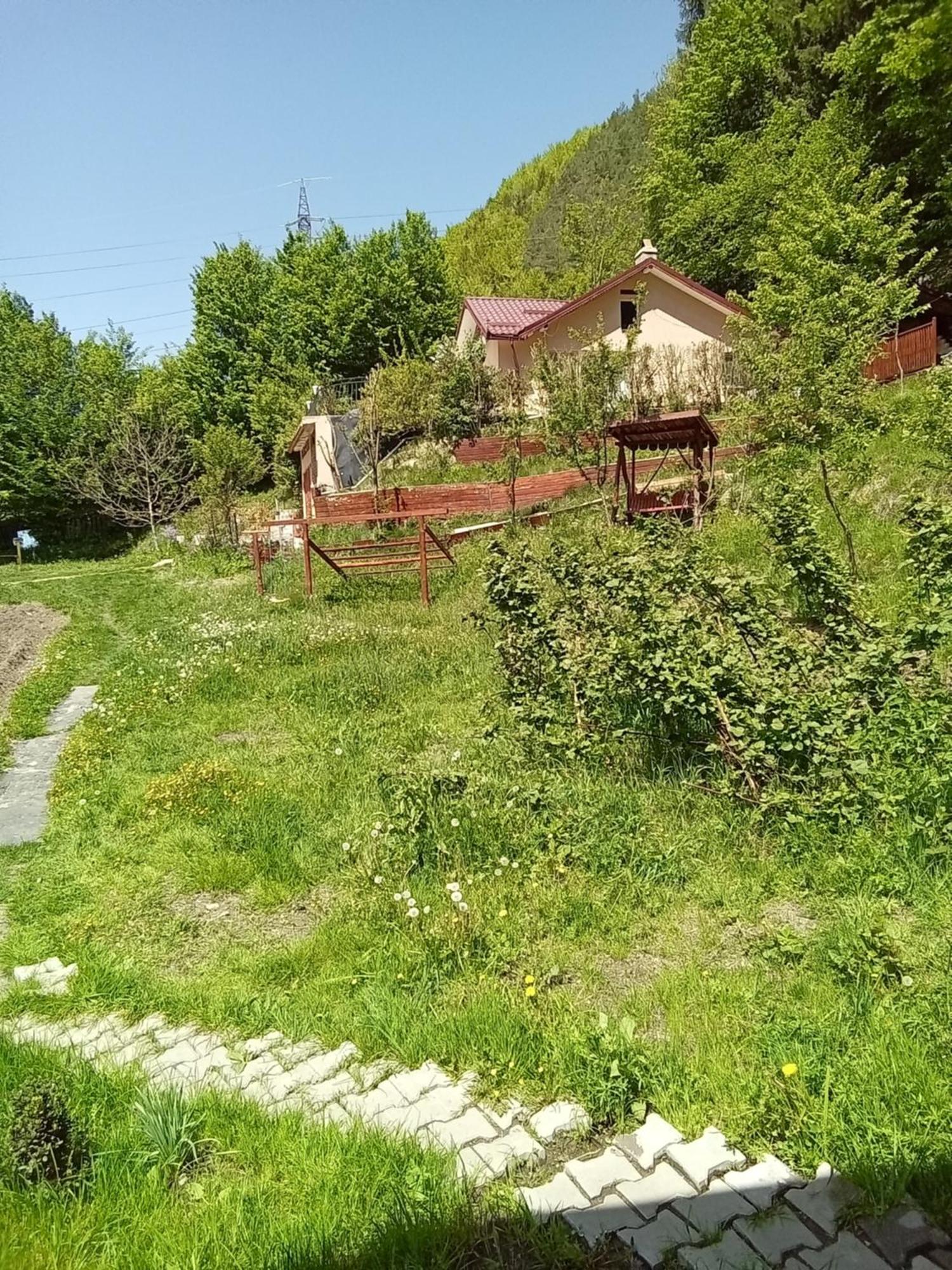 Casa Ozon Hotel Vulcan  Eksteriør billede