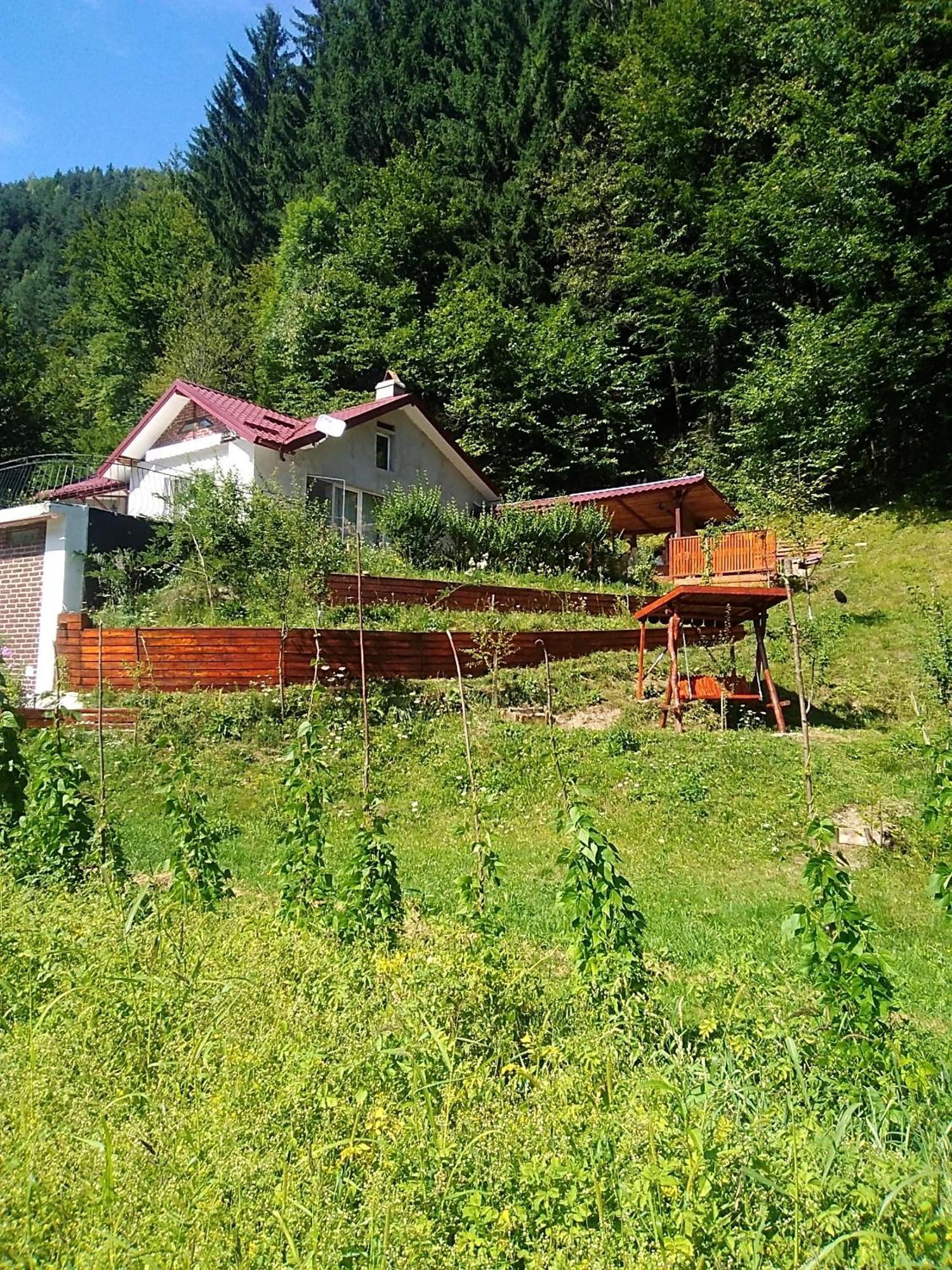 Casa Ozon Hotel Vulcan  Eksteriør billede